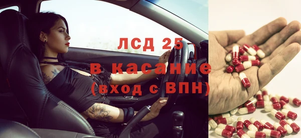 хмурый Кодинск