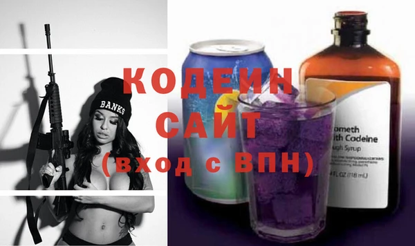 хмурый Кодинск