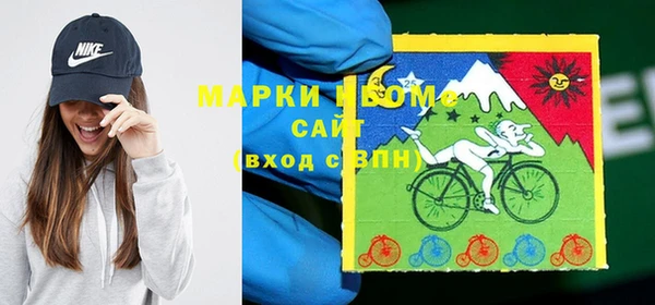 хмурый Кодинск