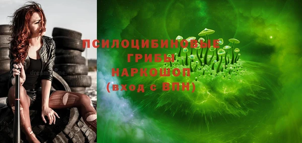 хмурый Кодинск
