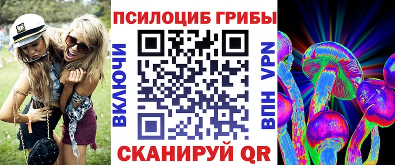 Купить закладки  Видное  Псилоцибиновые грибы мухоморы 